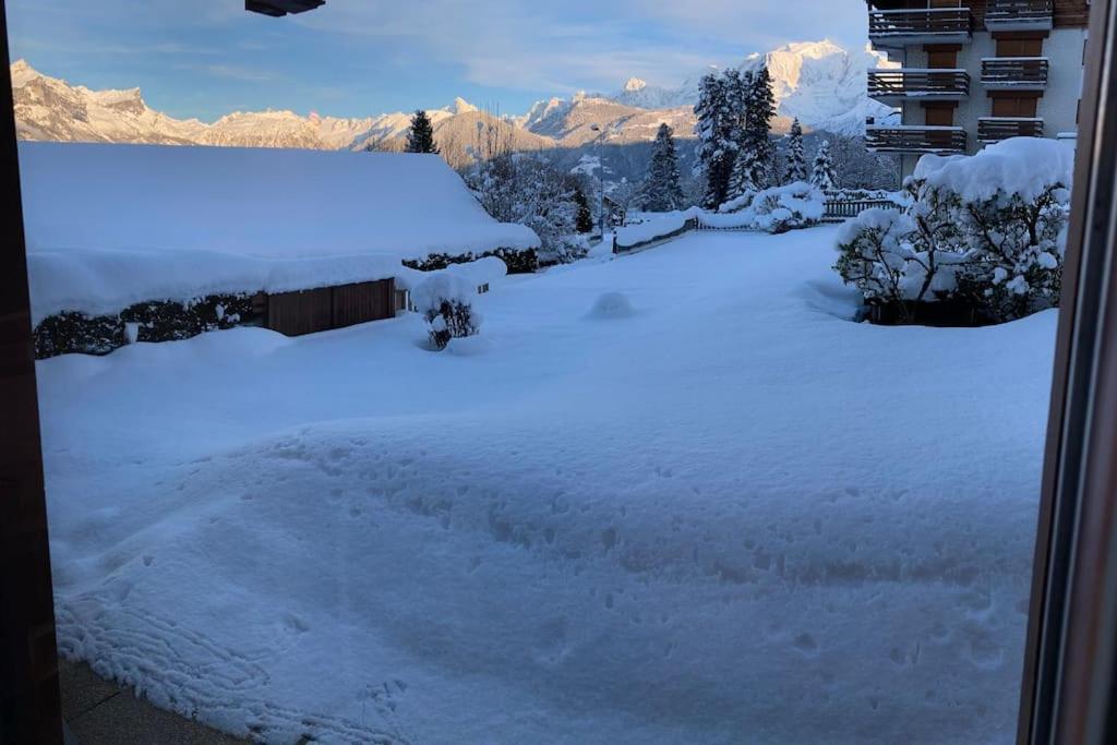 La Marmotte: Vue Mont Blanc, Terrasse, Parking Apartment กงบลู ภายนอก รูปภาพ